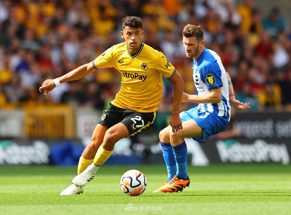 赛事的举办 赛事的举办